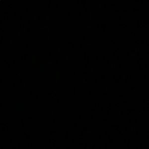 Meet your Posher, Toni